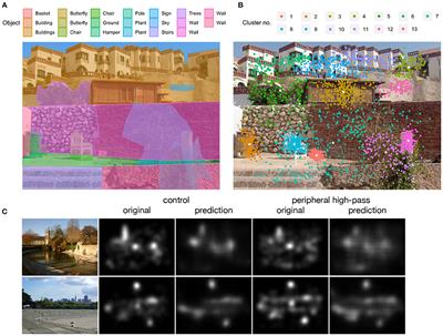 Potsdam Eye-Movement Corpus for Scene Memorization and Search With Color and Spatial-Frequency Filtering